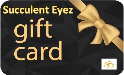 Sunglasses Gift Card | Digital Gift Cards | Succulent Eyez Eyewear